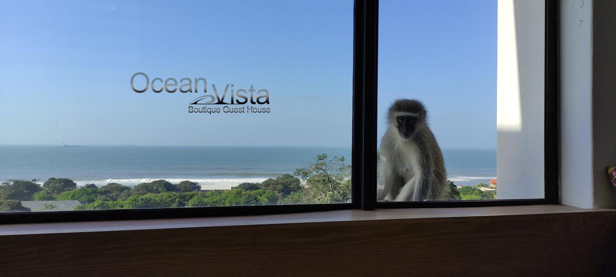 Ocean Vista Boutique Guest House 德班 外观 照片